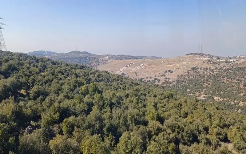 صحيفة نيسان ـ مديرية الدفاع المدني: الحرائق أتت على