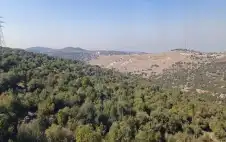 مديرية الدفاع المدني: الحرائق أتت على