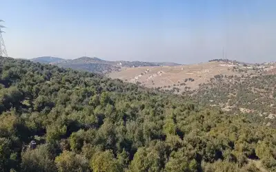 الأمير هاري متقلب عاطفيا