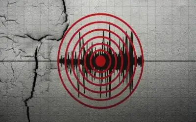 5 أطعمة ومشروبات تخفض يوريا الدم