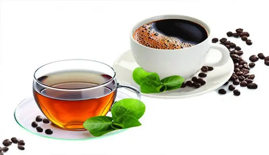 الشاي بين الفائدة والضرر.. ما الكمية