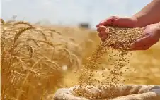 مجلس الوزراء يجتمع في الزرقاء ويقر