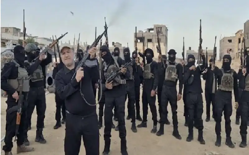 ميليشيات الاحتلال في غزة.. أداة رخيصة