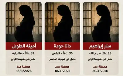 أمر دفاع جديد يحدد الدخول للدوائر