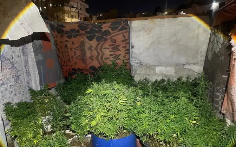 القبض على تجار ومهربين بينهم مصنف