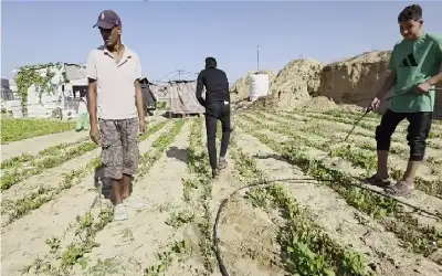 (الأردنية) تدعو الطلبة للتسجيل الذاتي عبر