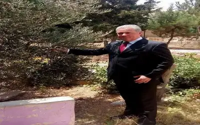 القبض على محطم اشارة ضوئية في