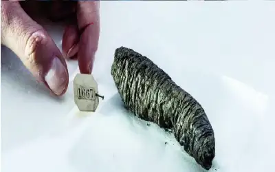 ذكاء يقرأ لفائف طمرها بركان منذ