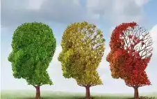 17 ألف صورة دماغية تكشف مفاجأة