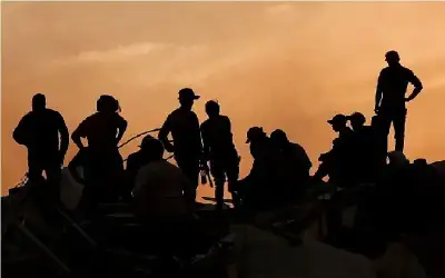 حلل يا دويري.. القسام تكشف هوية