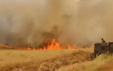 الدفاع المدني يخمد حريقا طال 20