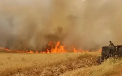 جاهة عشائرية كبرى برئاسة الشيخ طراد