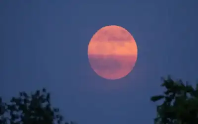 الشحاحدة: الرياح الجنوبية تزيد فرصة وصول