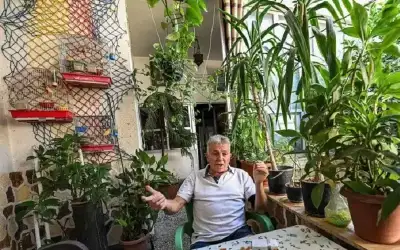 شركس يأمل باستمرار الاستقرار بالمنحنى الوبائي