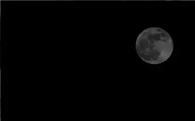 “النقل البري”: 15 ألف سائق مرخص