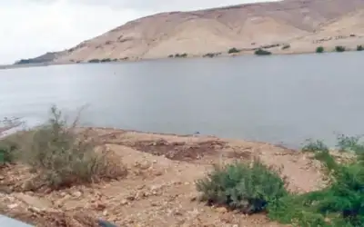 3283 طن خضار وفواكه ترد السوق