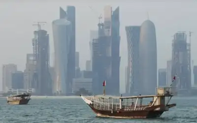 الوزير الشمالي: الرأس الواحد من الأغنام