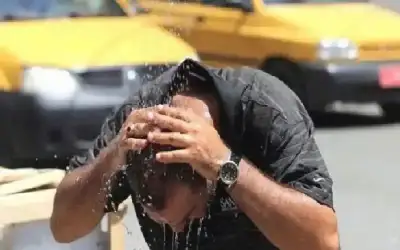 النائب الرقب يطالب بمغادرة وزيرة السياحة