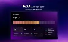 Visa تكشف عن حلول جديدة تعتمد