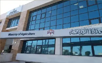 انخفاض أسعار الذهب محليا الخميس.. وعيار
