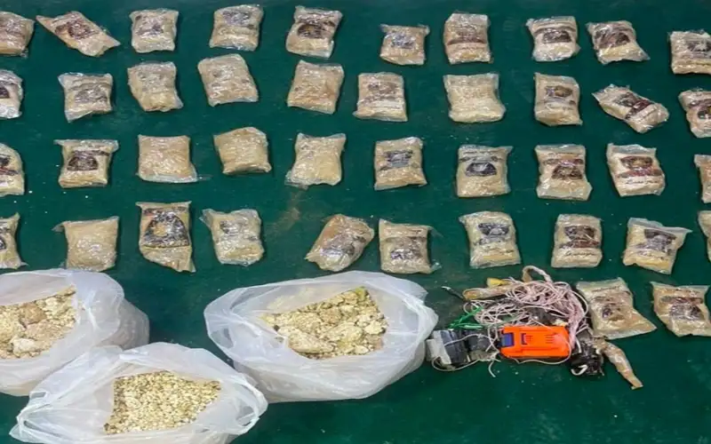 المنطقة العسكرية الشرقية تحبط محاولة تهريب