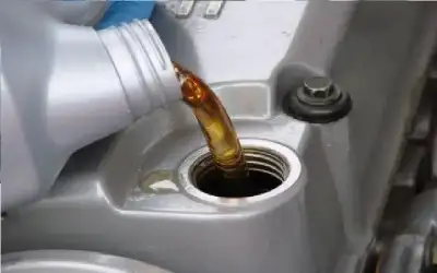 فالس: بنزيمة رياضي كبير ويجب أن