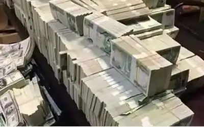 بالفيديو: لن تصدق قدرات هذا القرد