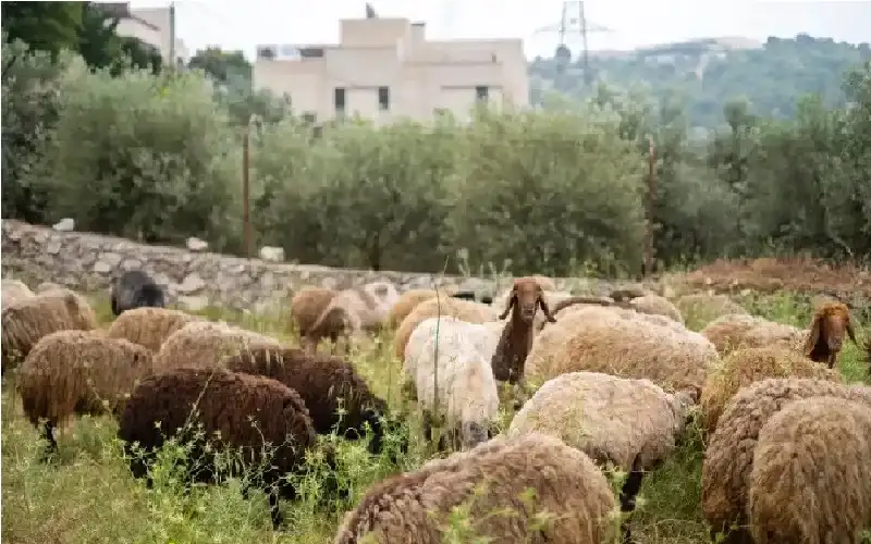إطلاق أول عملية وطنية لقياس مؤشرات