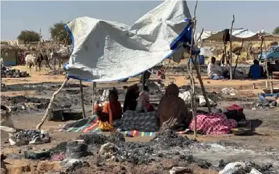 مستوطنون يقيمون بؤرة استيطانية قرب جبع