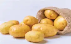 عن اstrongلبstrongطاطا والكوليسترول وتعزز مناعة الجسم