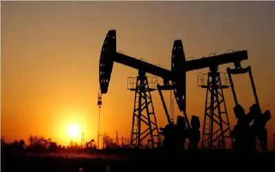 العثور على قبور أثرية بمنطقة زبدة