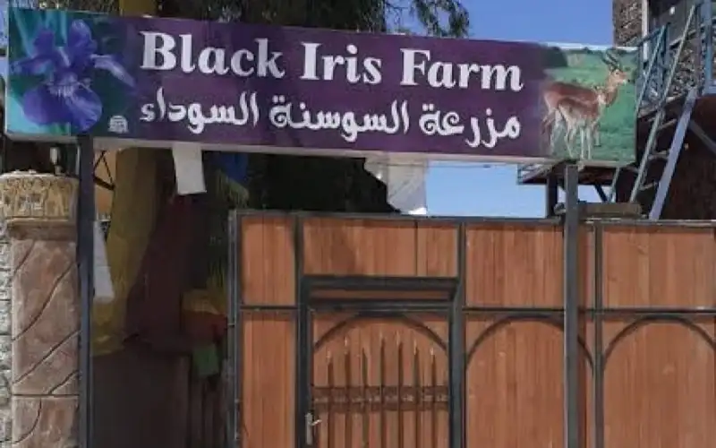وكيل حديقة السوسنة السوداء: وزير الداخلية