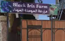 وكيل حديقة السوسنة السوداء: وstrongزيstrongر الداخلية