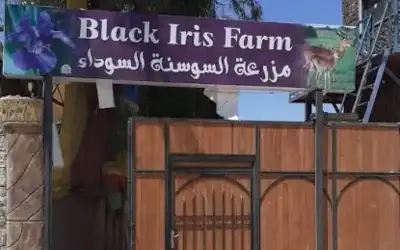 الطيران المدني: الأجواء الأردنية مفتوحة تماما