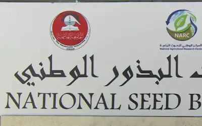 ارتفاع إجمالي الدين العام الأردني إلى