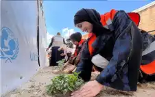إعادة بناء الحياة في غزة.. صمود