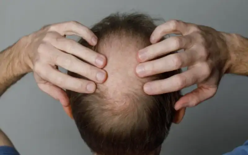 عشبة عمرها ألف عام قد تحمل