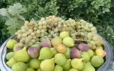 جابر: لازم نصبر هالشهرين ثلاث