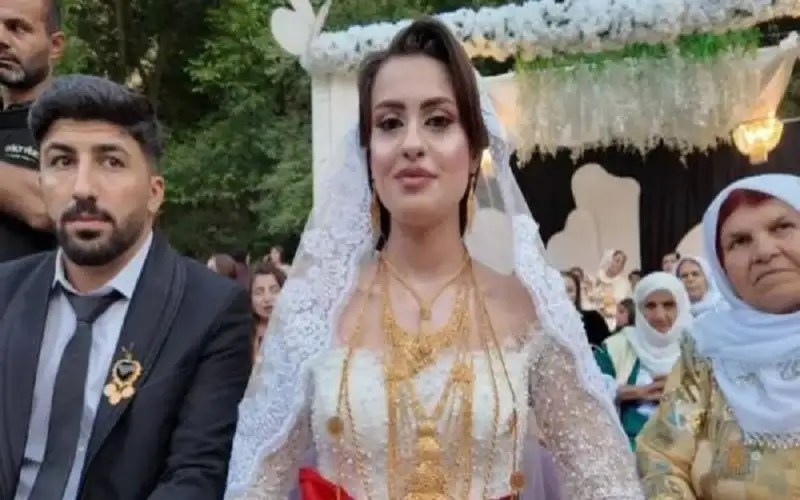 35 رأسا من الأغنام وملايين الليرات