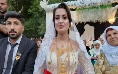 منوعات ـ 35 رأسا من الأغنام وملايين الليرات