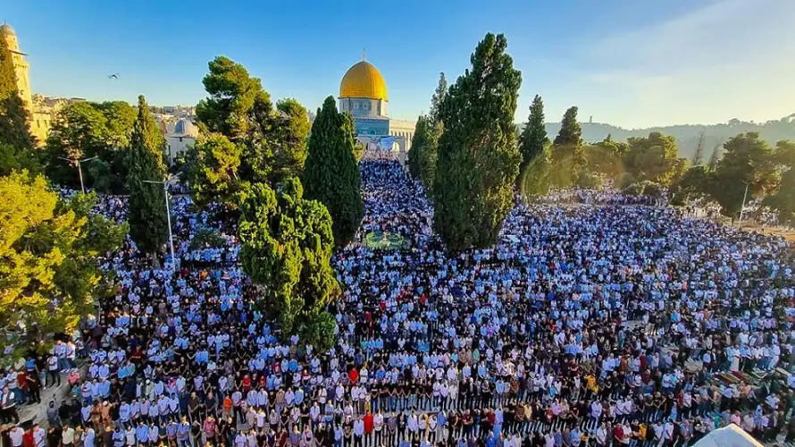 عين على القدس يسلط الضوء على