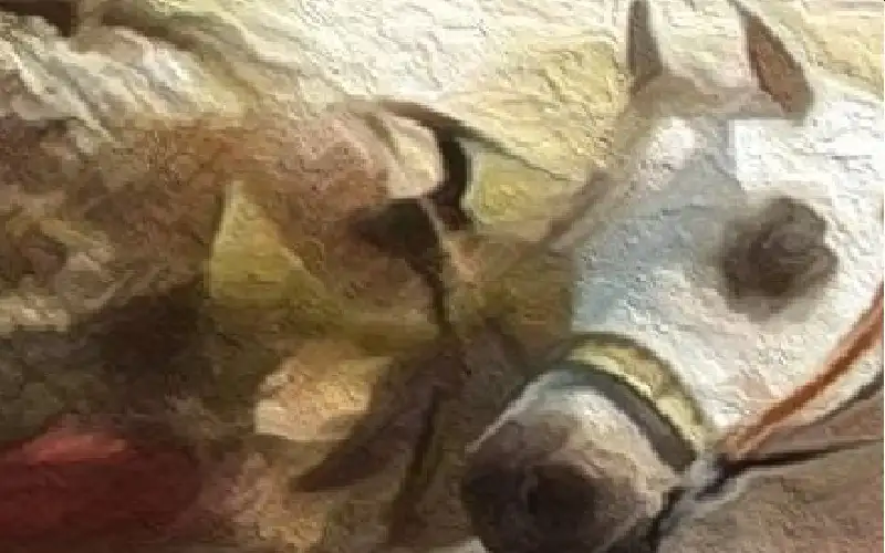 ثلج… ثلج… ثلج وفي العراق جوع