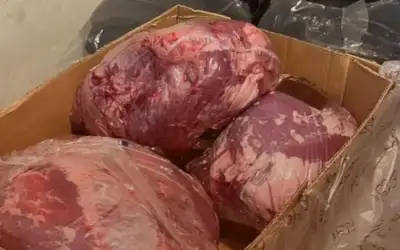 ‘‘العمل‘‘: 58262 عدد تصاريح العمل سارية