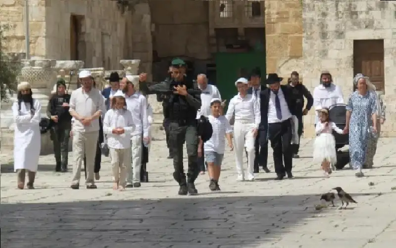 منظمات الهيكل تحشد لأكبر اقتحام للأقصى