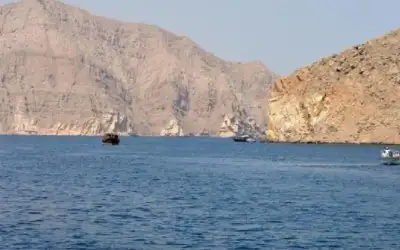 طهران: لن تدخل أو تغادر أي