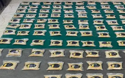 ​الخارجية النيابية تطالب بتحرك برلماني دولي