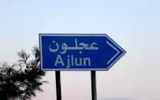 محمية غابات عجلون تسstrongتقبلstrong 35 ألف