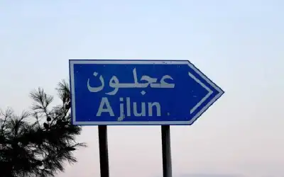الجيش يحبط محاولة تهريب كمية كبيرة