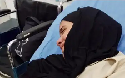 الشيشاني يحتج.. مجلس الديكور .. والقاضي