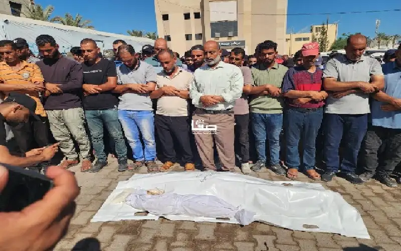 1203 منذ وقف النار.. وصول 3
